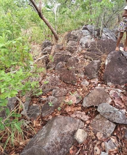 Muro de pedras feito por escravos encontrado na Fazenda Mocambo