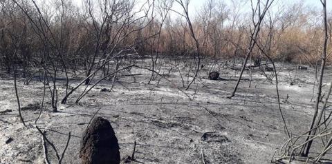 SEMAR publica Portaria proibindo temporariamente a queima controlada no Piauí