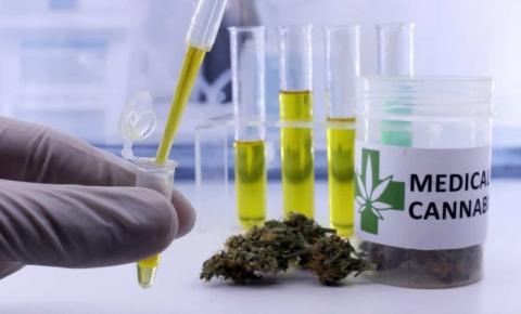 Anvisa aprova mais um produto medicinal à base de Cannabis