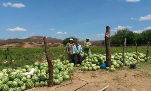 Wellington Dias instala primeira câmara técnica de agricultura familiar do Nordeste