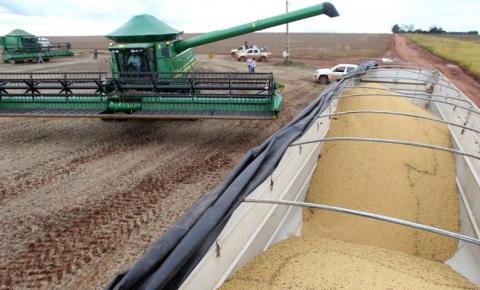 Piauí vai colher quase 3 milhões de toneladas de soja
