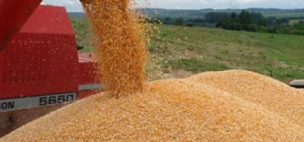 Crescimento da produção de grãos do Piauí deve chegar a 12%