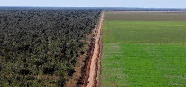 Piauí reduz em 34% o desmatamento no Cerrado